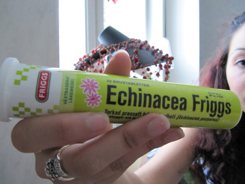 echinacea friggs brustablett