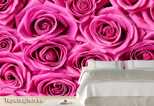 Blommig tapet Sovrum ros rosa rosor fototapet blommor romantisk sovrumstapet