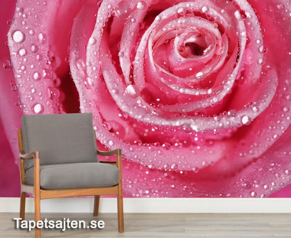 Tapet Rosor Tapeter Romantisk Tapet Blommig tapet ros rosa fototapet blommor romantisk
