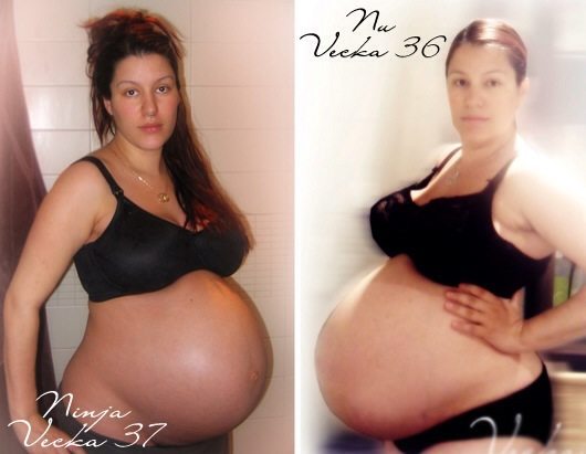 överviktig och gravid