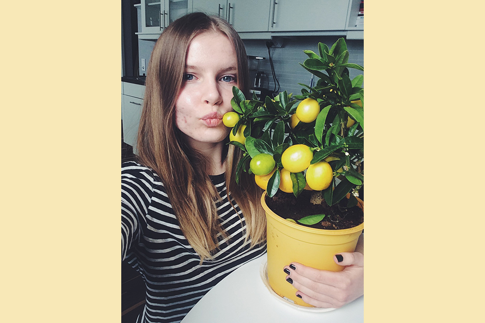 Bilden visar ett citrusträd med citroner, i en gul kruka