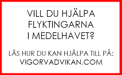 vigorvadvikan.com