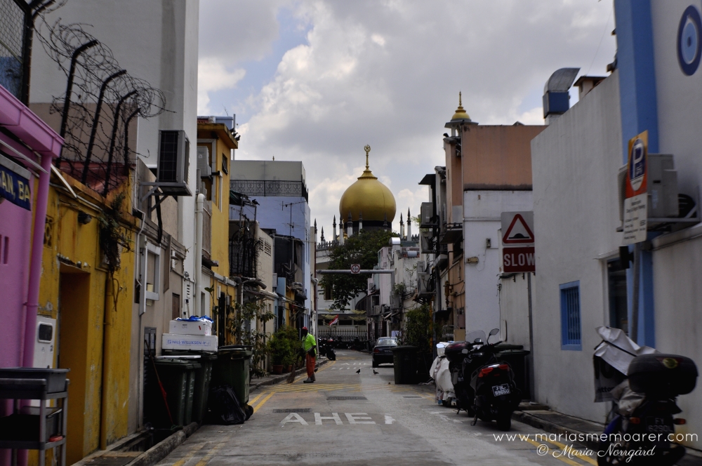 streets of Arab Quarter, Singapore / en bakgata i muslimska stadsdelen Arab Quarter, Singapore