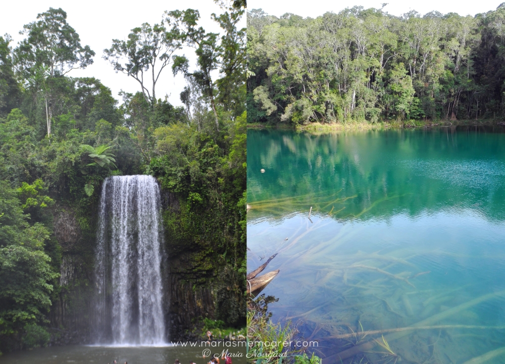 sevärdheter i Atherton Tablelands nära Cairns - Lake Eacham och vattenfallet Millaa Millaa