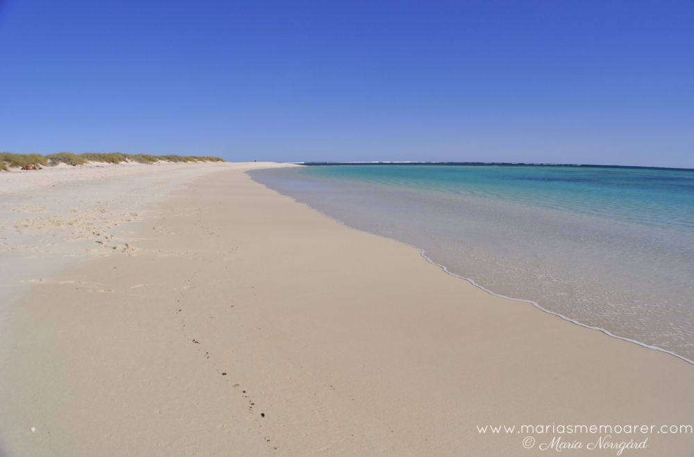 Vackra stränder i Western Australia - Turquoise Bay