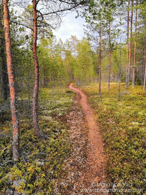 best nine 2020 - vandringsled Storsand Österbotten Finland