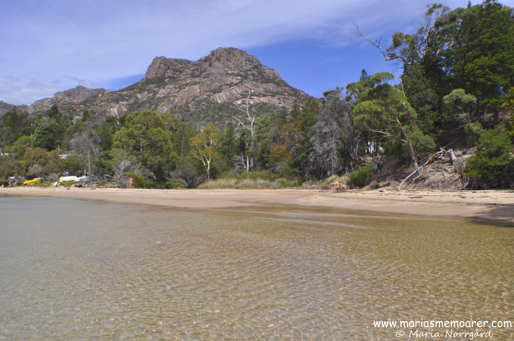 Strand vid Coles Bay, Tasmanien