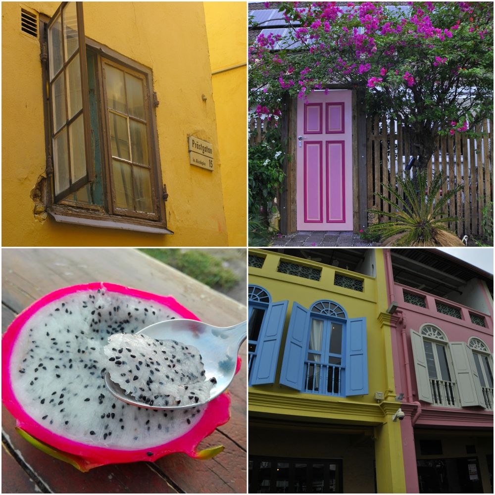 Gamla stan i Stockholm, färgglad dörr i Far North Queensland Australien, pastellhus i Singapore, dragonfrukt / pitahaya i Melbourne