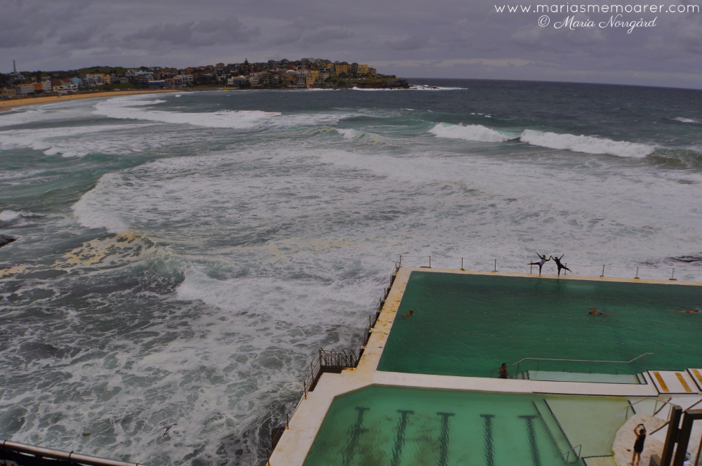 fototema vatten - hav och pool vid Bondi Beach i Australien