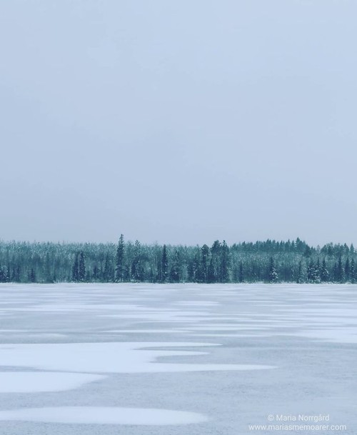 naturfoton Instagram vinter i Österbotten Finland