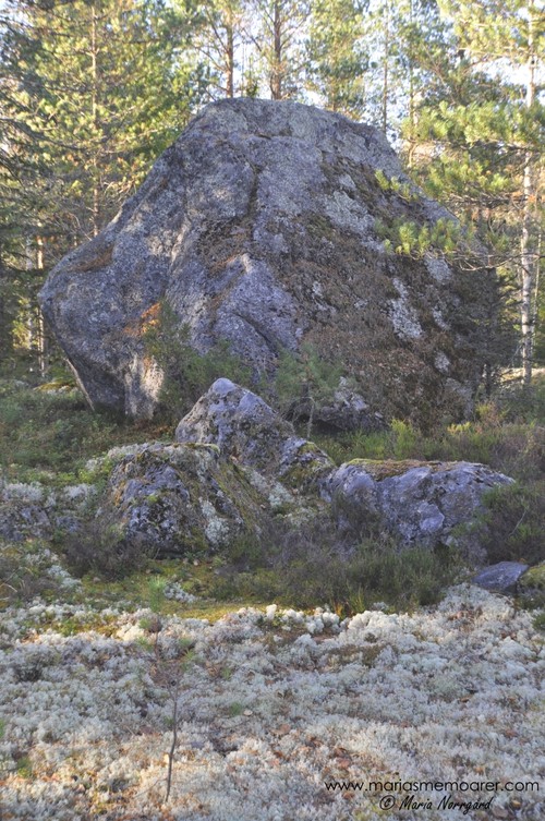 Stenbumling / flyttblock i Vörå, Finland / glacialerratic rock, Vöyri, Finland