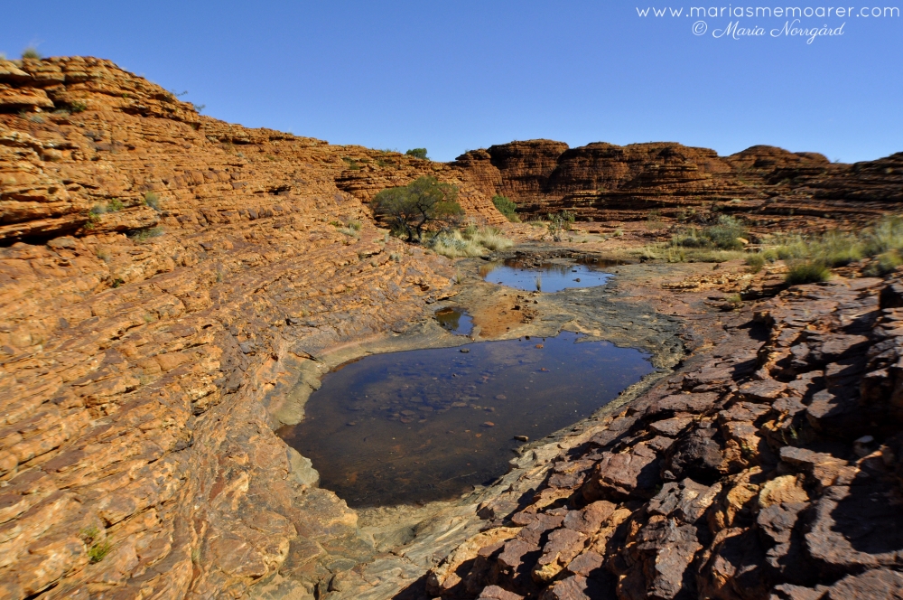 water in Kings Canyon, Australia / vattensamling i Kings Canyon, Australien