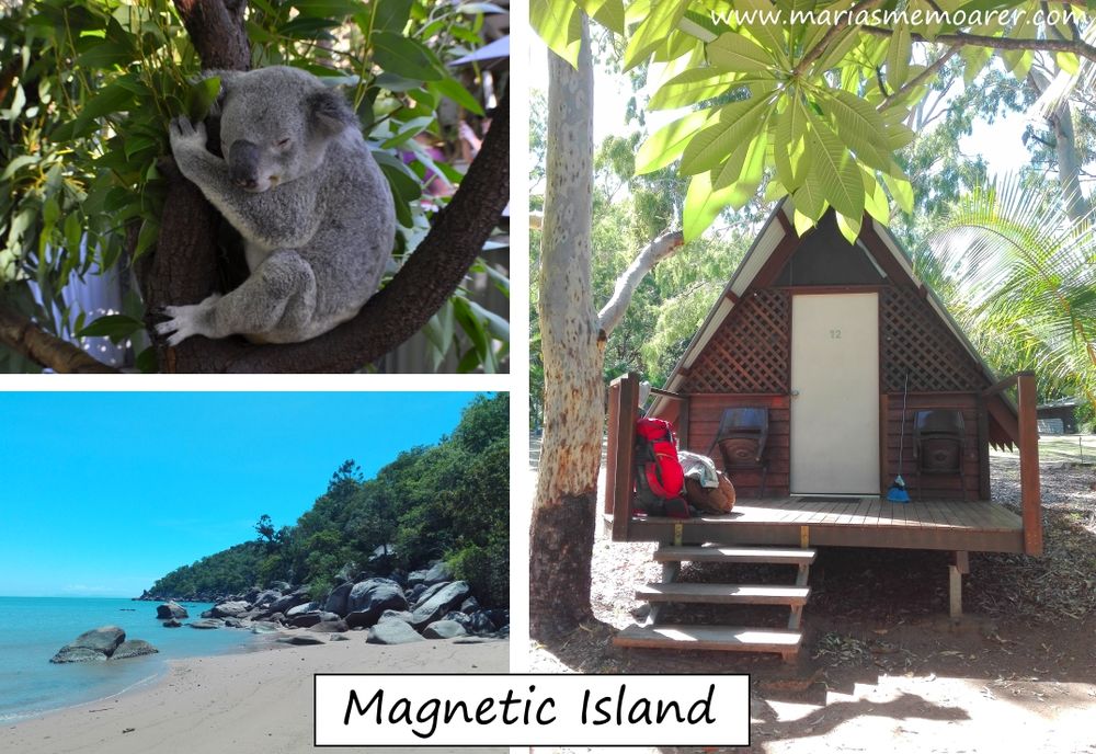 Magnetic Island near Townsville in Queensland, Australia, a must see! / Ett måste längs östkusten i Australien - Magnetic Island!