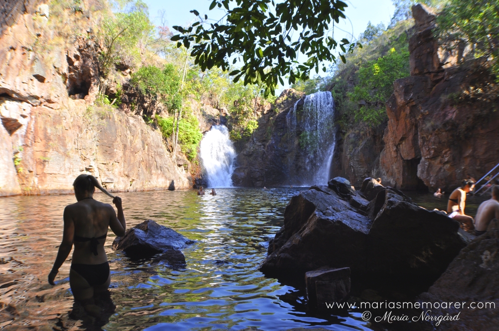 national park Litchfield Florence Falls, Northern Territory Australia