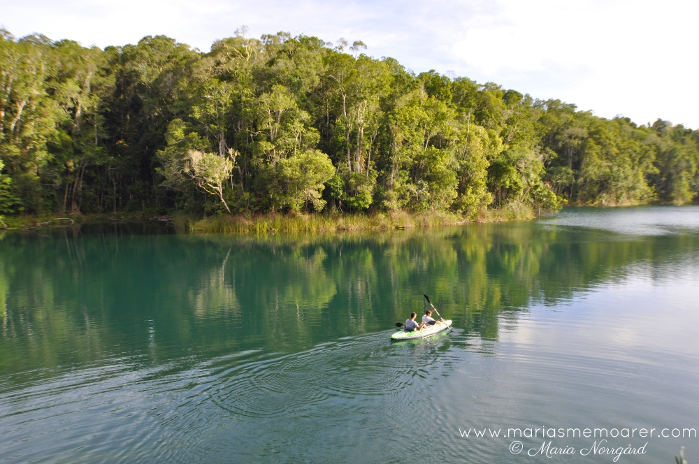 national park Queensland Australia - Crater Lakes, Lake Eacham