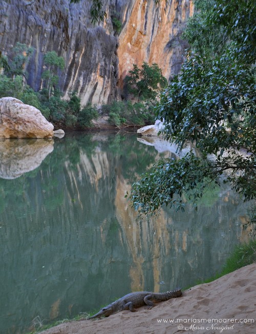 national park Western Australia - Windjana Gorge with fresh water crocodiles