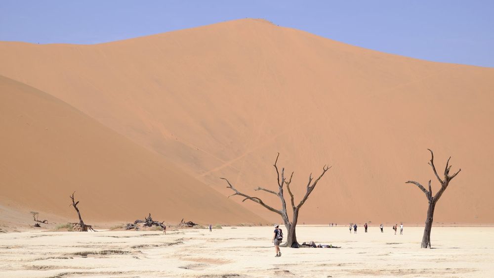 naturupplevelser i Afrika - öken i Namibia
