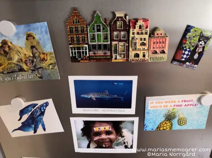 fridge travel memories magnets souvenirs postcards