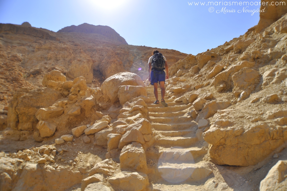 vandra nära Masada i Israel - upplev Mellanöstern