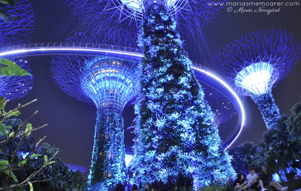 Supertree Grove, Gardens by the Bay nattbelysning - bästa sevärdheterna i Singapore