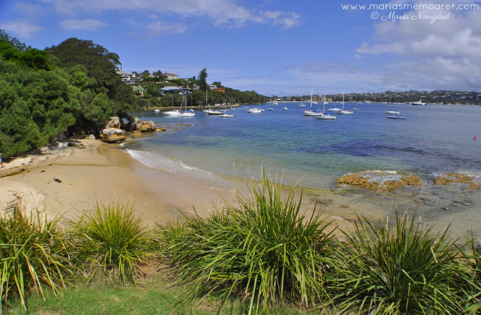 vackra lugna stränder turistfria - Sydney Australien