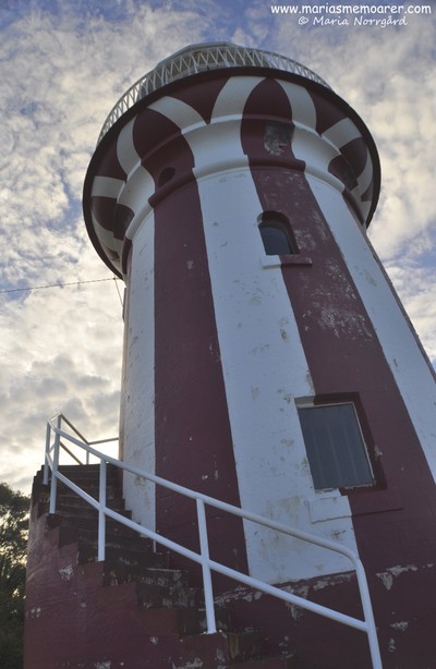 Hornby Lighthouse, Sydney, Watsons Bay, NSW, Australia / Australien