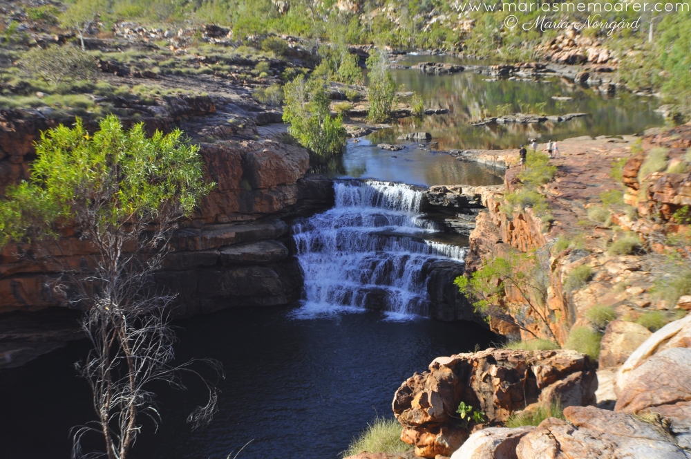 vattenfall i Australien: waterfall Bell Gorge, King Leopold Ranges Conservation Park, Western Australia (northwest)