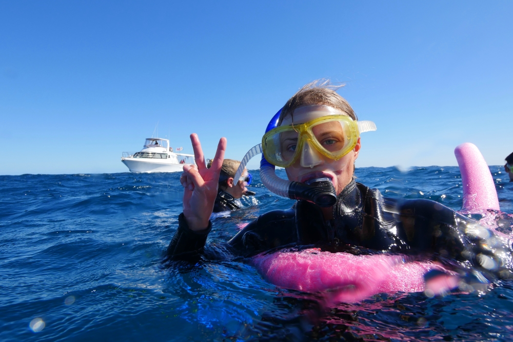 valhaj dagstur med snorkling i Ningaloo Reef, Exmouth, Australien