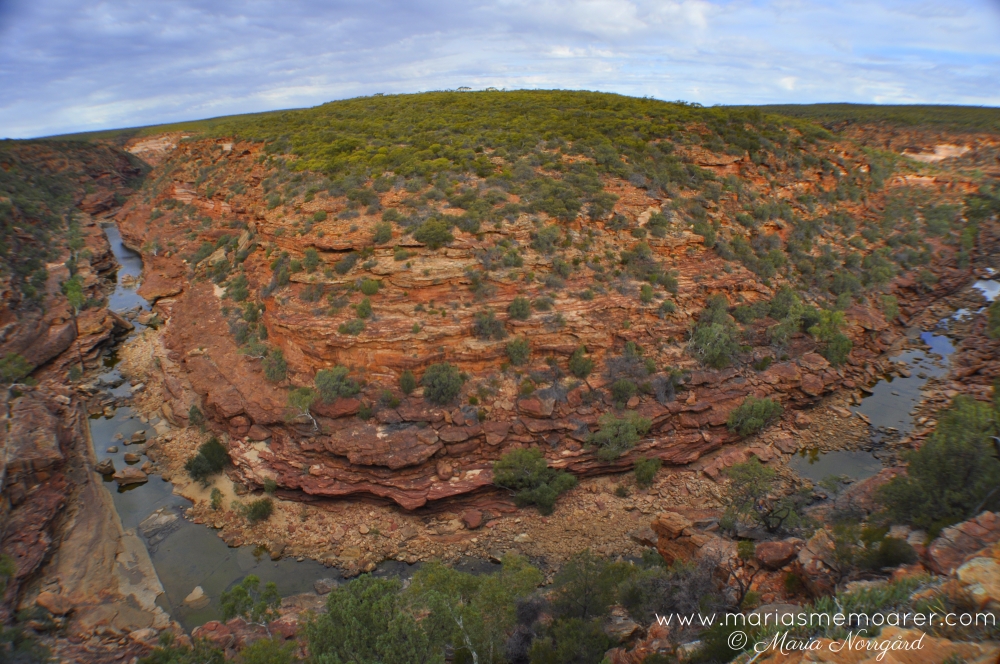 Kalbarri nationalpark i västra Australien - Z-Bend Lookout