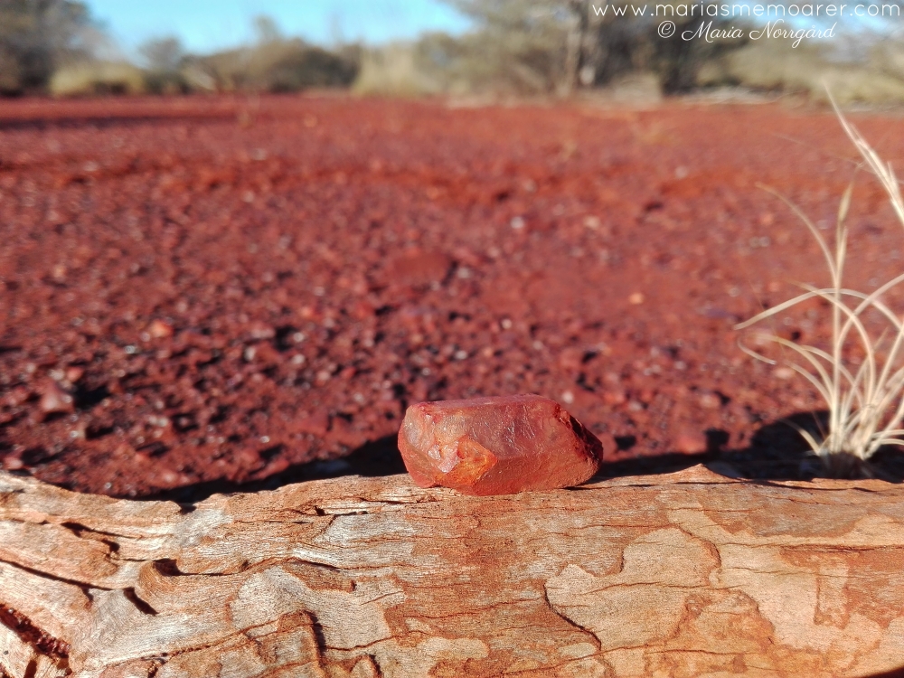 camping i Australiens röda outback