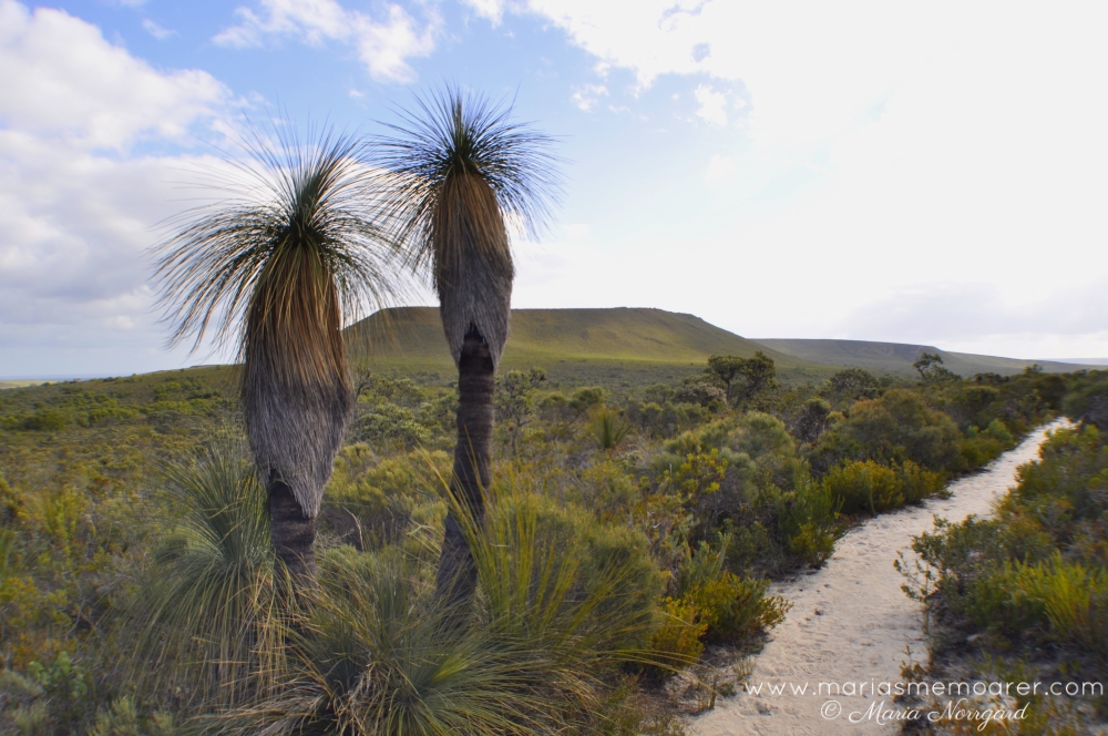 Mount Lesueur walk / vandring, Western Australia, Australien