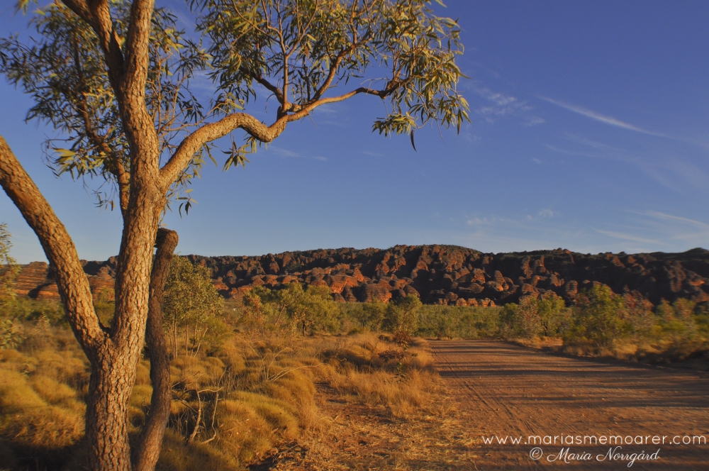 roadtrip i norra Australien (Western Australia, Purnululu)