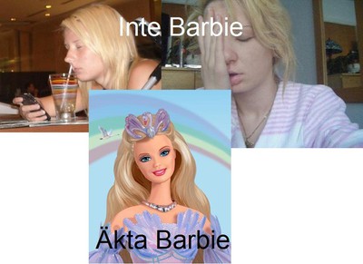 inte barbie