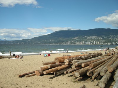 Vancouver Playan, fina trädstammar de har här!