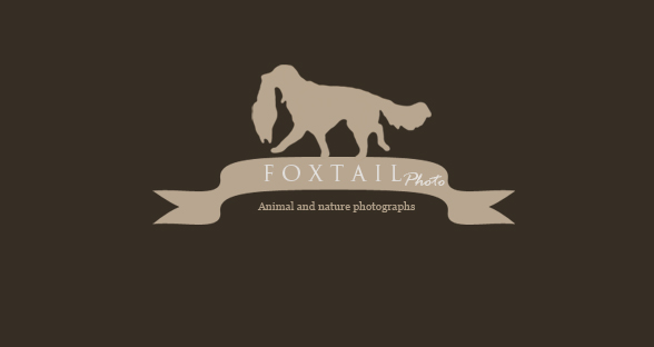 Foxtailphoto loggotype