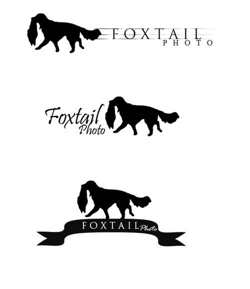 foxtailphoto.webb.se test logotyper.