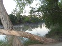 East Aligator River