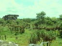 The view at Ubirr lookout 