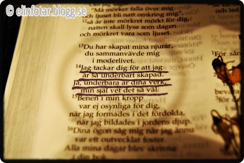 bible bibel elinfotar.blogg.se psalm 139:14 underbar skapad