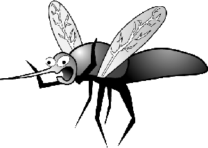 myggnät myggor
