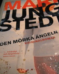 Kriminalroman av Mari Ljungstedt