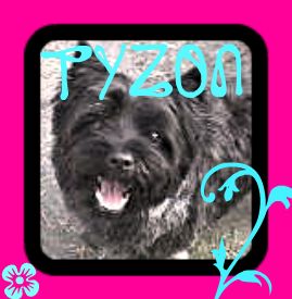 TYZON I LOVE YOU<3