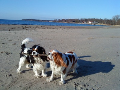 Ronja och Kajsa på stranden