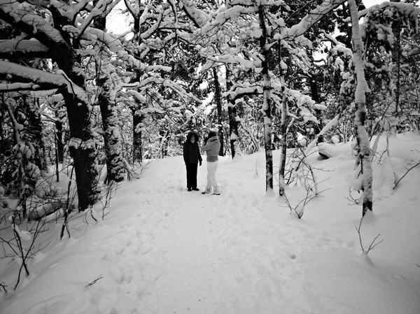 Två kvinnor i snö