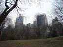 New York från Central Park