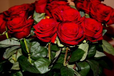 Röda rosor, present från pappa Sven