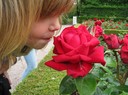 älsklingen och en vacker ros i trädgården :)