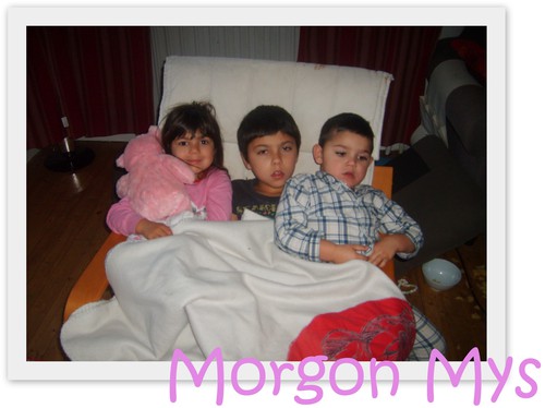 Morgon mys