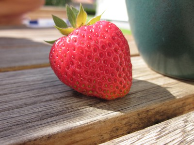 the first strawberry from our own garden!
