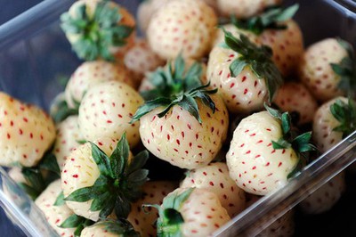 Pineberries <3